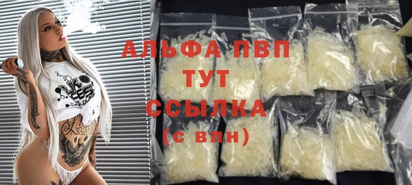 PSILOCYBIN Волосово