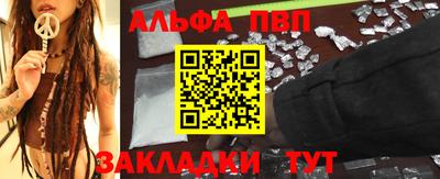 бошки Кингисепп