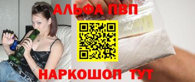 бошки Кингисепп