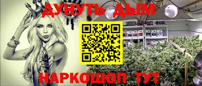 бошки Кингисепп