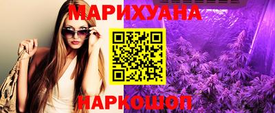 бошки Кингисепп